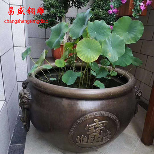 ���l ����䓷¹��~�� ͥԺ�S�~ˮ�� �e���~�׹�ˇƷ�[��