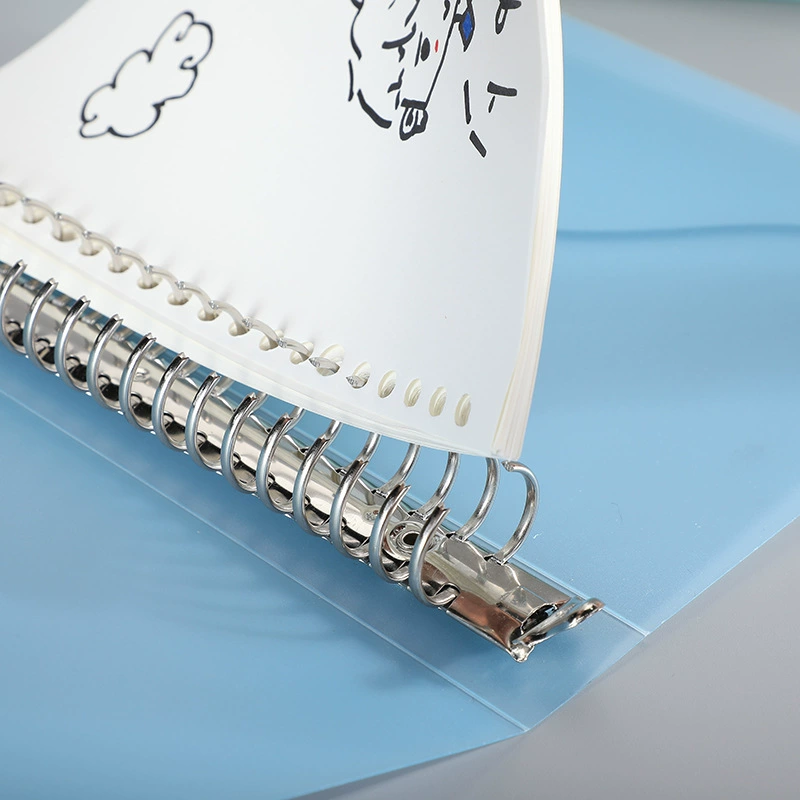 Laptop, book, removable capacious notebook, new collection, tear-off sheet