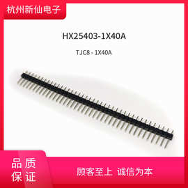 HX25403-1*40A单排直针TJC8/杜邦浙江红星排针
