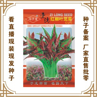 �T�����N��S��ֱ�����������ش���Nֲ ̨���t���~�{�ˣ�221��