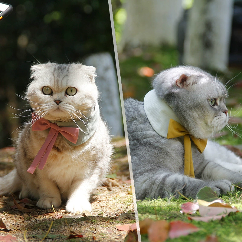 Ji Zi Английский стиль Pet Dog Галстук-бабочка Тедди Щенок Галстук-бабочка Кошка Галстук-бабочка Аксессуары для шеи кошки