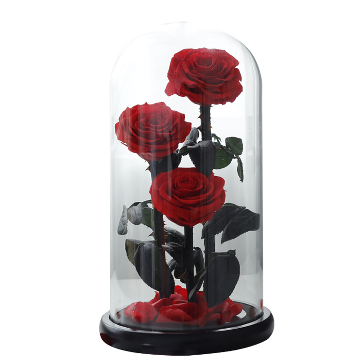 Rosa Eterna Cubierta de Cristal, El Principito, Tres Vidas, Tres Mundos, Caja de Regalo para Novia, Ramo para el Día de San Valentín