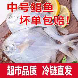 鲳鱼野生银鲳鱼白鲳鱼平鱼5斤新鲜海鲜水产鲜活冷冻日照特产