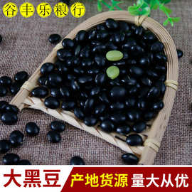 产地货源批发绿芯青仁大黑豆 豆浆原料五谷杂粮袋装25kg大粒黑豆