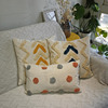 Factory spot wholesale new Nordic Ins Morocco cluster down pillow pillow house with pillows and cushions