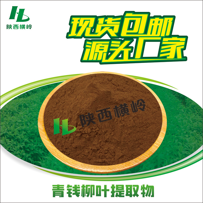 青钱柳叶提取物 30:1青钱柳粉 青钱柳多糖 植物青钱柳叶萃取 现货