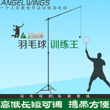 艾羽菲斯羽毛球训练王教学两用版教练定向专业动作挥拍