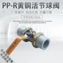 热熔全铜ppr开关接头