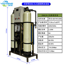 厂家直销250升/小时逆渗透设备经济型RO纯水机一体化直饮水设备