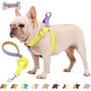 Cross-border INS tide dog leash color pet pull rope dog with dog walking dog rope
