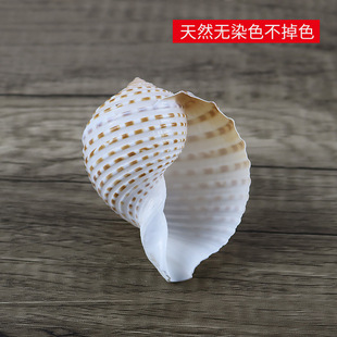 ������Ȼؐ�������~��ˮ���b�Ʒ��ؐ�~��ֳ�����⻨��[�����l