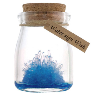ecoey cross-border foreign trade wishing elf planting crystal seed wishing bottle self-growing crystal science and education experiment