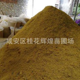 湖北咸宁批发优质干桂花精选散装桂花干量大从优茶饮花茶湖北原产