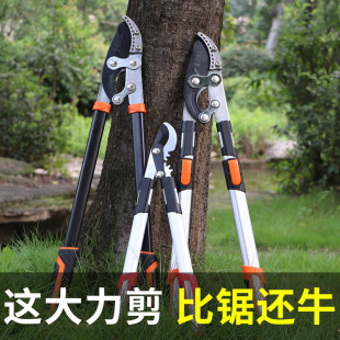 �羳���Q��֦����������s������֦�����LSK5�@�ּ���������֦��