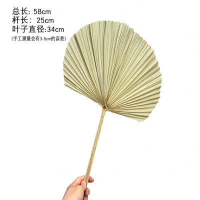 Pu fan hoja girasol fan hoja grande flor seca hoja de palma ventana vino fiesta arte colgante de pared decoración boda Arco de la boda diseño