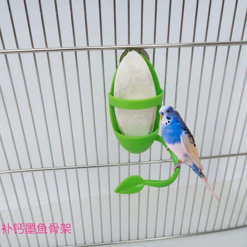 Амазонка Гладкий попугай птица Каракатица кость стойка для еды игрушка для птиц попугай поставляет корзину для овощей и фруктов станция ДОБАВКИ КАЛЬЦИЯ