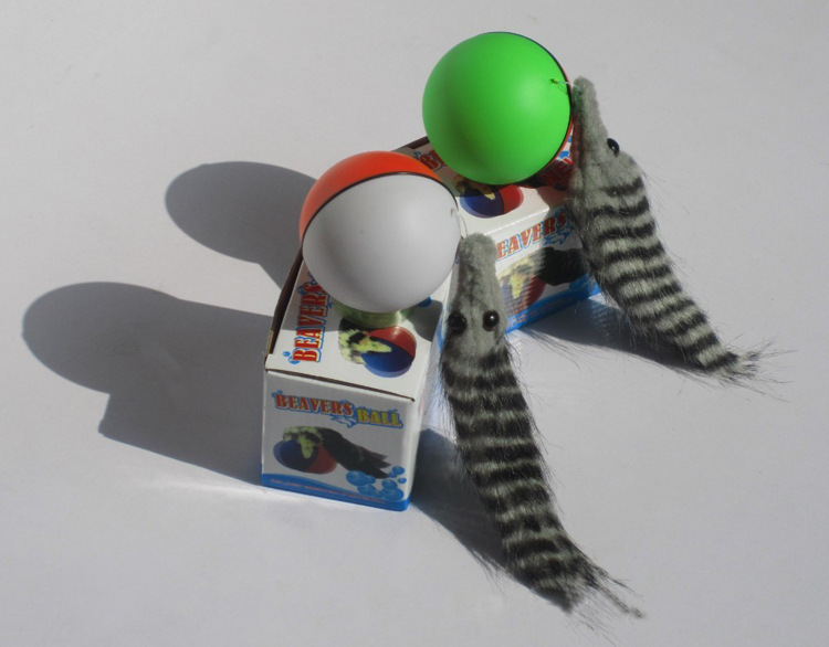 현물로 찍은 사진