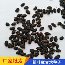 Sl|y~ϚgNͥԺGNwMlѿʸ