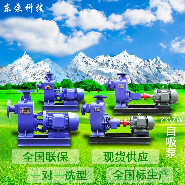 山东东泵 直连清水自吸泵 现货分体不锈钢加强自吸泵ZW自吸污水泵