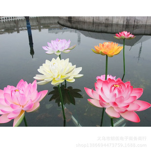 ����ɻ����~˯ɏ�ɻ�������ɏ�g �赸���ߺ��~����ˮ���b��~