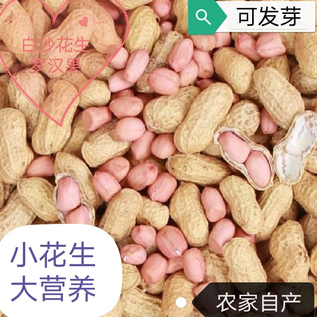 当季新货新鲜带壳花生干生花生白沙花生农家自种晒干自产一件代发