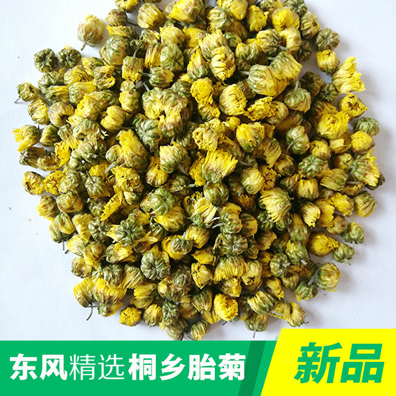 桐乡胎菊源头工厂杭白菊菊花茶花果茶茶叶批发胎菊王批发