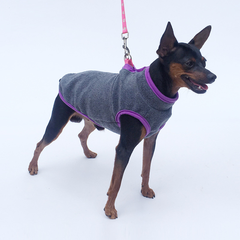 New pet clothes dog clothing stand collar placket European and American velvet (sleeveless) light fleece RY0002 New pet clothes dog clothing stand collar placket European and American velvet (sleeveless) light fleece RY0002