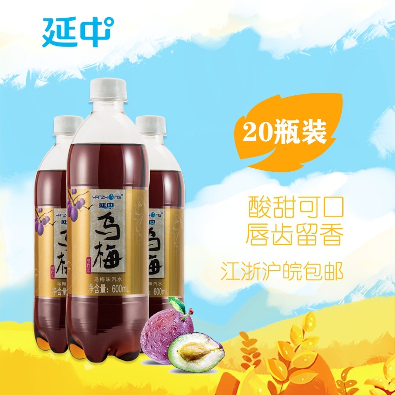 延中乌梅汽水600ml*20瓶整箱碳酸饮料酸爽防暑饮品 江浙沪皖包邮