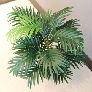 Tropical pocket coconut trees plant wall with small coconut leaf -tailed sunflower simulation palm tree bonsai decorative sunflower tree