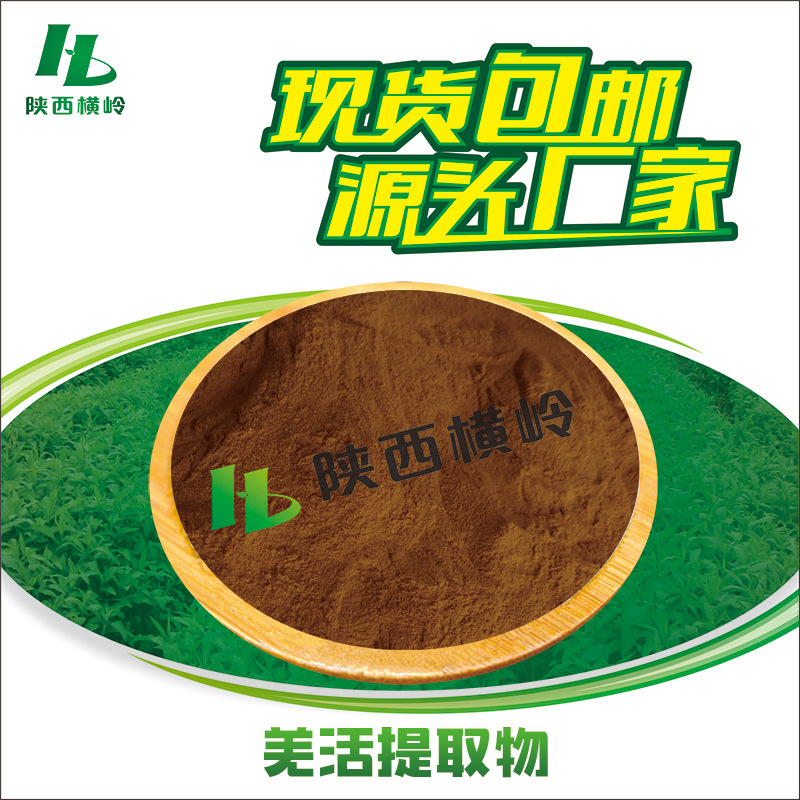羌活提取物 30:1羌活粉 羌活根提取物 羌青萃取 水溶性 量大优惠