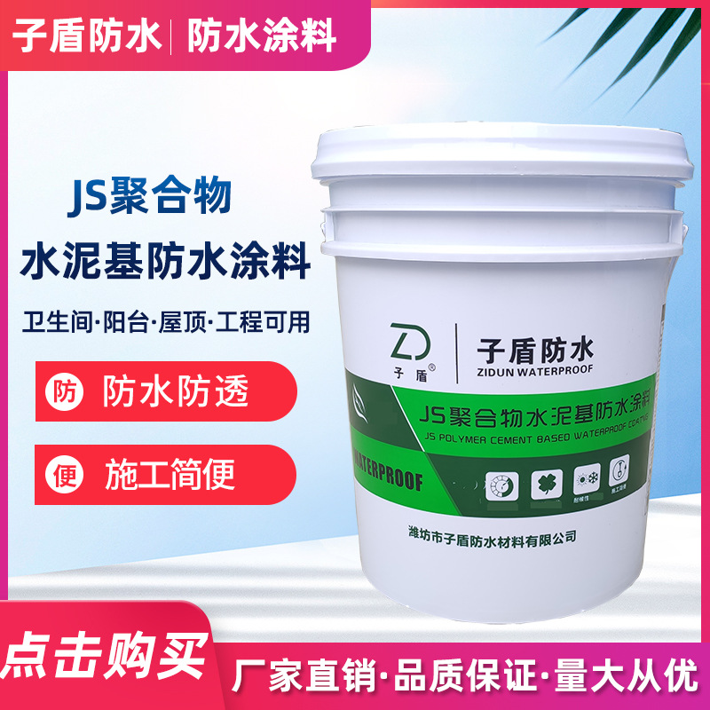 JS polymer Cement -based waterproof coating dual group flexible…
