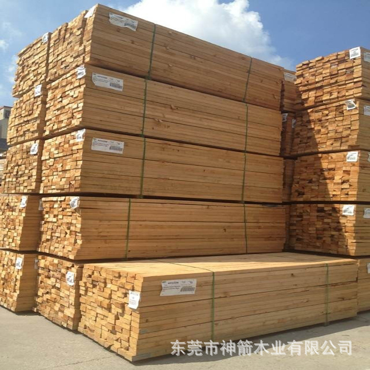 �������� �㶫����ľ�� ��������ʸ� ����㳤ѡ�������