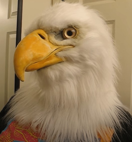 Águila máscara águila cabeza cubierta Halloween simulación animal Bulldog loro viejo y joven cabeza cubierta máscara