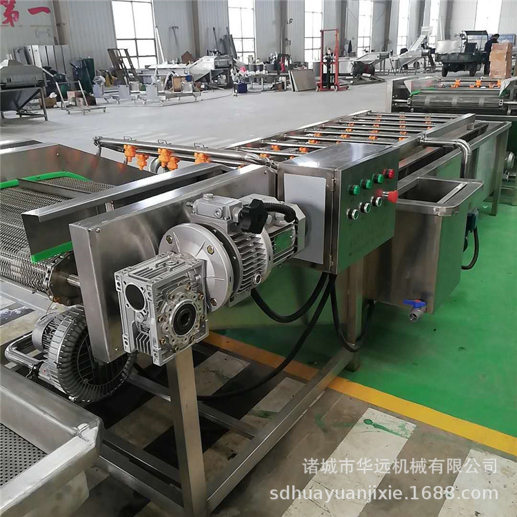 叶类蔬菜果蔬清洗机 水果气泡清洗设备 柑橘沃柑全自动洗果机