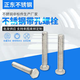 厂家生产 不锈钢带孔螺栓加工不锈钢销轴螺丝 非标加工 规格多