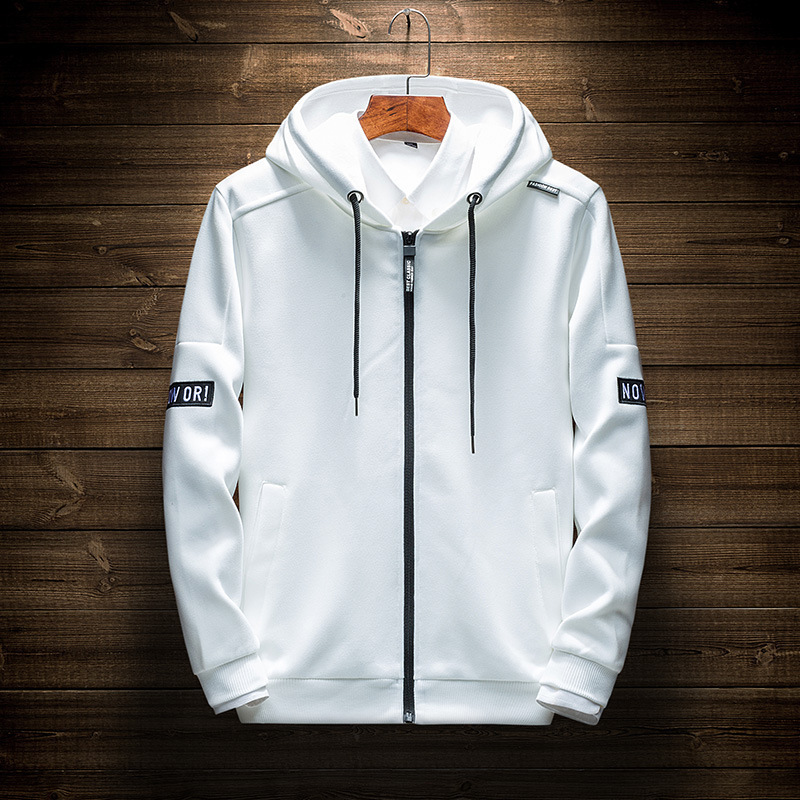 Popular 2019 new spring and autumn men's long-sleeved sweater hooded Korean style trendy student cardigan casual sports men