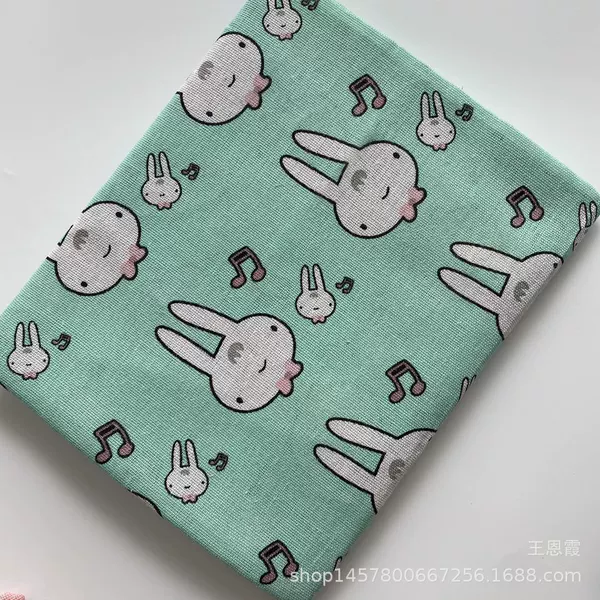 Music rabbit