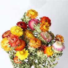 ins�߲ʾ������r�ղ��}�ոɻ������滨���W���¼Ҿ��b����Ք[��