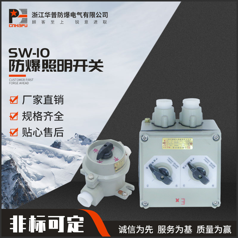 防爆照明开关SW-10铝合金防爆照明开关 220V380V防水防尘控制开关