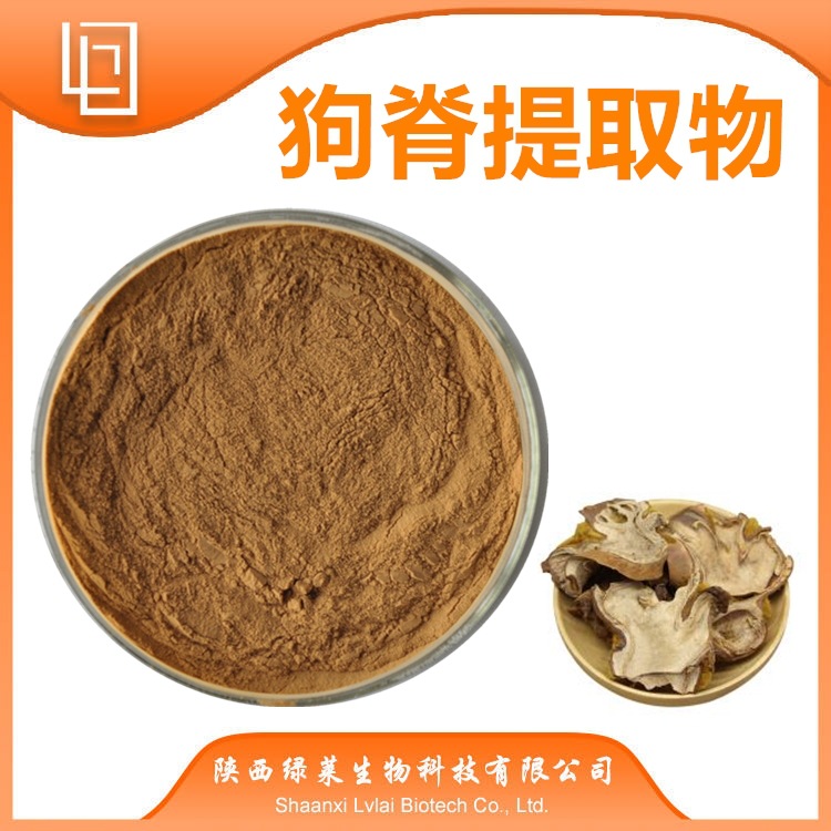 狗脊提取物10-1 狗脊水溶粉 狗脊粉 SC认证  供应 萃取狗脊粉