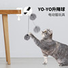 Electric interactive toy, new collection, cat, pet