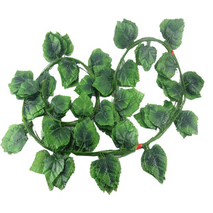 �S�ҷ��������~�ٻ��ٷ���ֲ������ˮ����ڒ��~�ٷ��滨���ϻ�