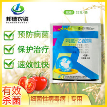 ���� ����A20%�}������������~ �߲˷��Ѳ������������rș������