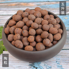 陶粒垫底花用小碳球盆栽多肉轻质陶土铺面石水族鱼缸建筑回填 5升
