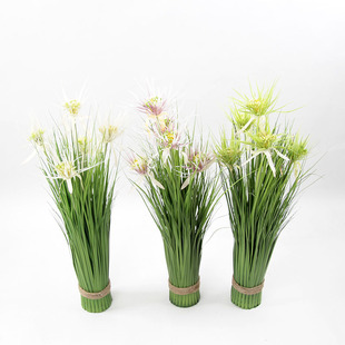 ���滨���[�� �߷���ֲ�� �����辰 ���ϻ� �ٻ� �̓r���l