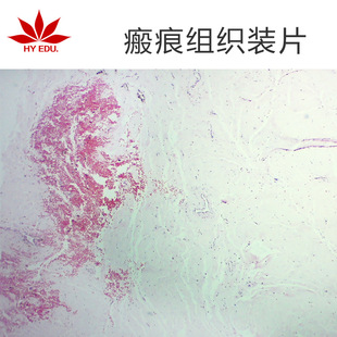 ����M�������˱��@΢�R����������Ƭ ������ُ�I