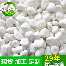 �h�����Z��ʯ��ʯ��ѩ���יCĥʯ�Ӱ�ɫ�껨ʯ�׶���ʯ��С��ʯ��