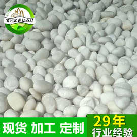 厂家批发供应酸洗白色鹅卵石子 雨花石白色天然白色卵石子白石子
