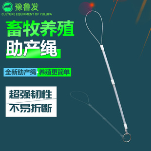 �i�����a�Kĸ�i䓽z�K���i�K���P��i�����a���i����ĸ�i�y�a��
