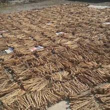 ˮ���J�p�Ӳݾ�ԭ���� ˮ���J�p�Ӿ����@ �ٗl�b��b��ݾ��K